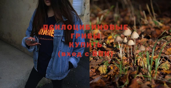 COCAINE Нязепетровск