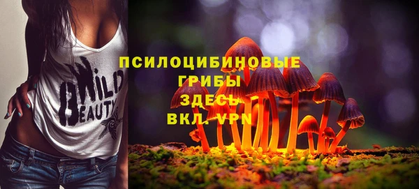 а пвп мука Новодвинск