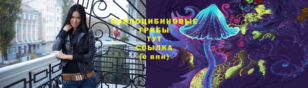 а пвп мука Новодвинск