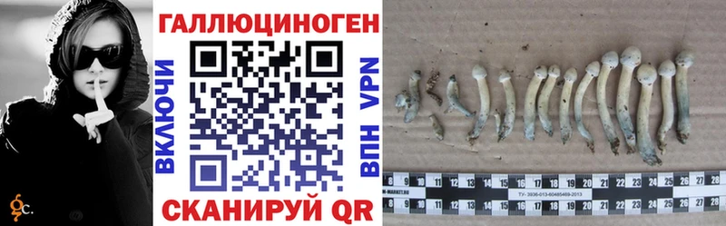 Галлюциногенные грибы мицелий сайты даркнета клад Лакинск